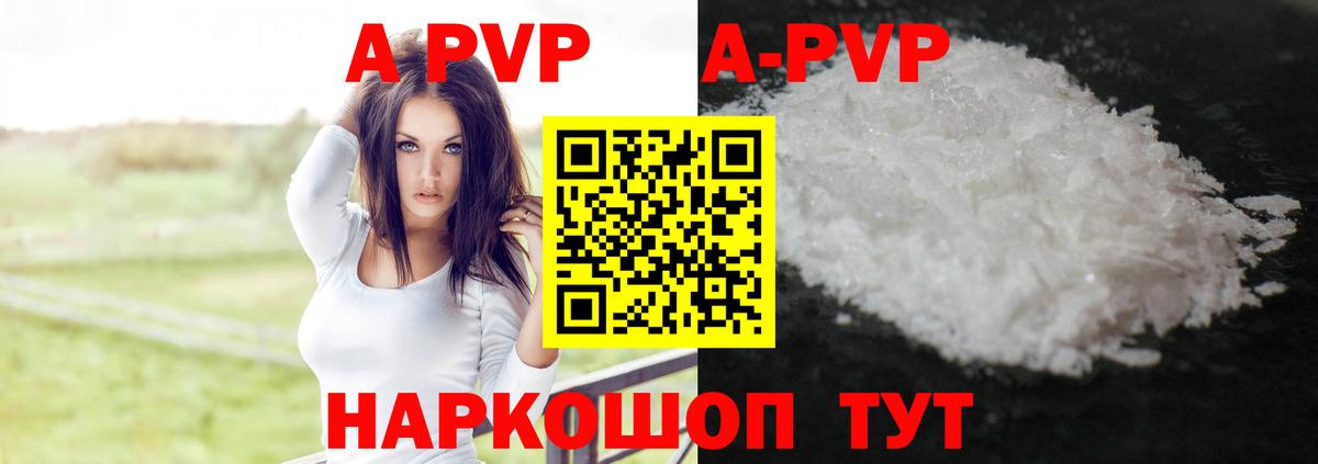 A PVP СК КРИС Мыски