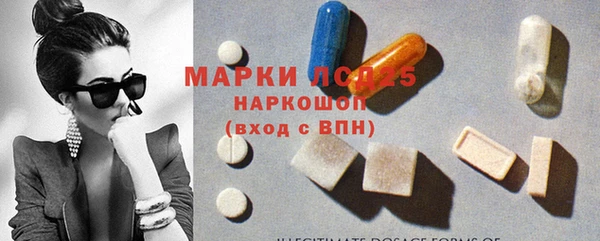 крисы Алексин