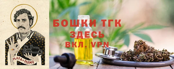 сатива Алзамай