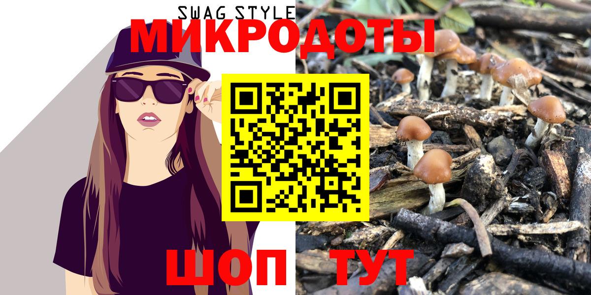 Мыски  Псилоцибиновые грибы мицелий  Вход с VPN 